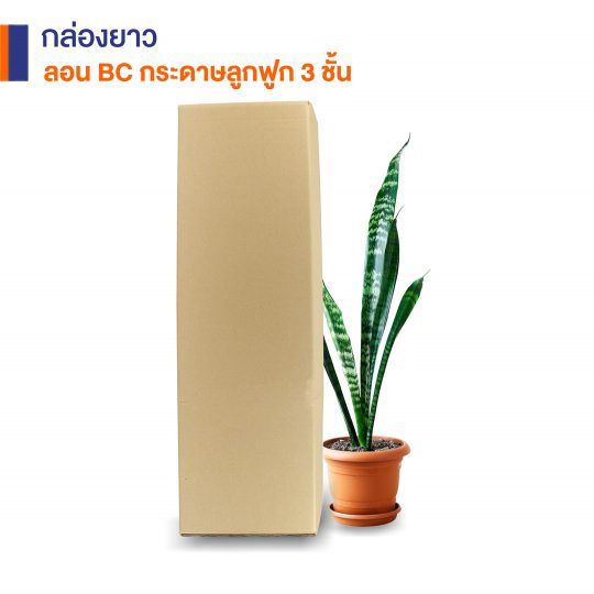 สั่งผลิตกล่องใส่ต้นไม้-1
