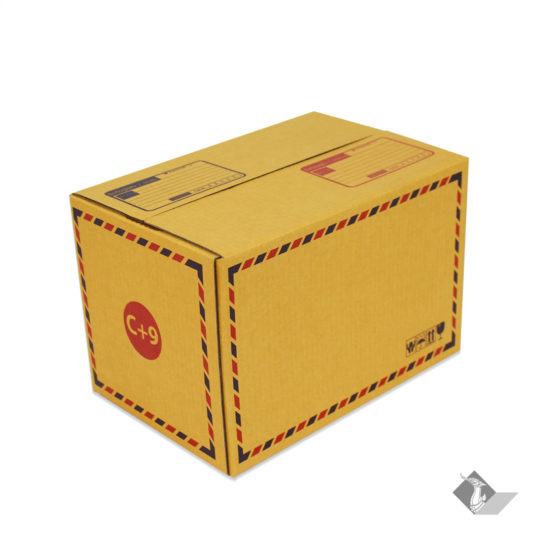 กล่องเบอร์ C+9 30x20x20 cm (ยxกxส)