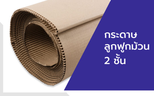 กระดาษลูกฟูกม้วน 2 ชั้น