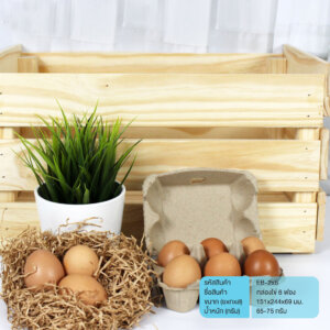 กล่องไข่ แผงไข่ 6 ฟอง