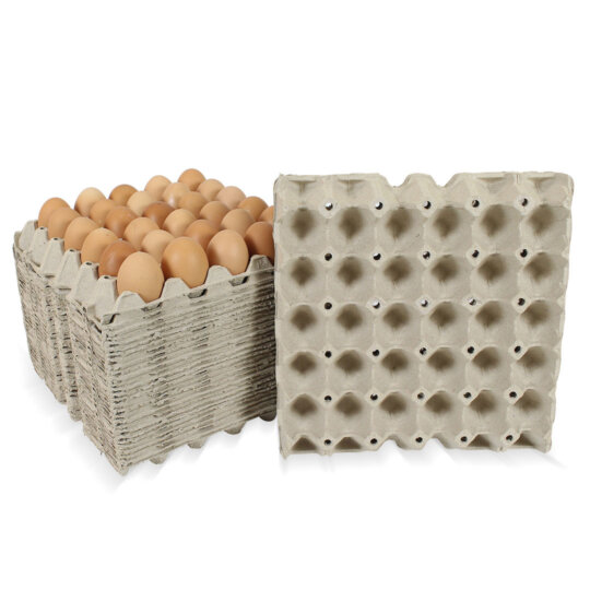 แผงไข่กระดาษ แบบมีรู 29.5x29.5x4.7 cm