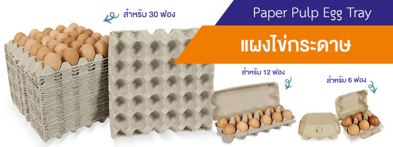 แผงไข่-Banner