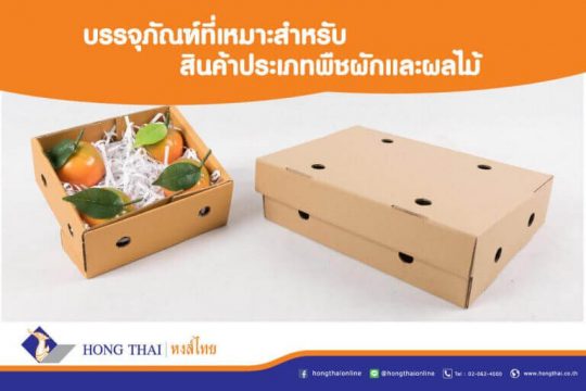 hongthai-บรรจุภัณฑ์ที่เหมาะสำหรับสินค้าประเภทพืชผักและผลไม้