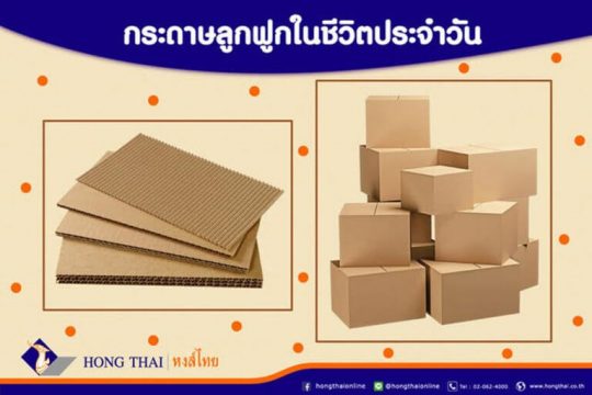 กระดาษลูกฟูกในชีวิตประจำวัน