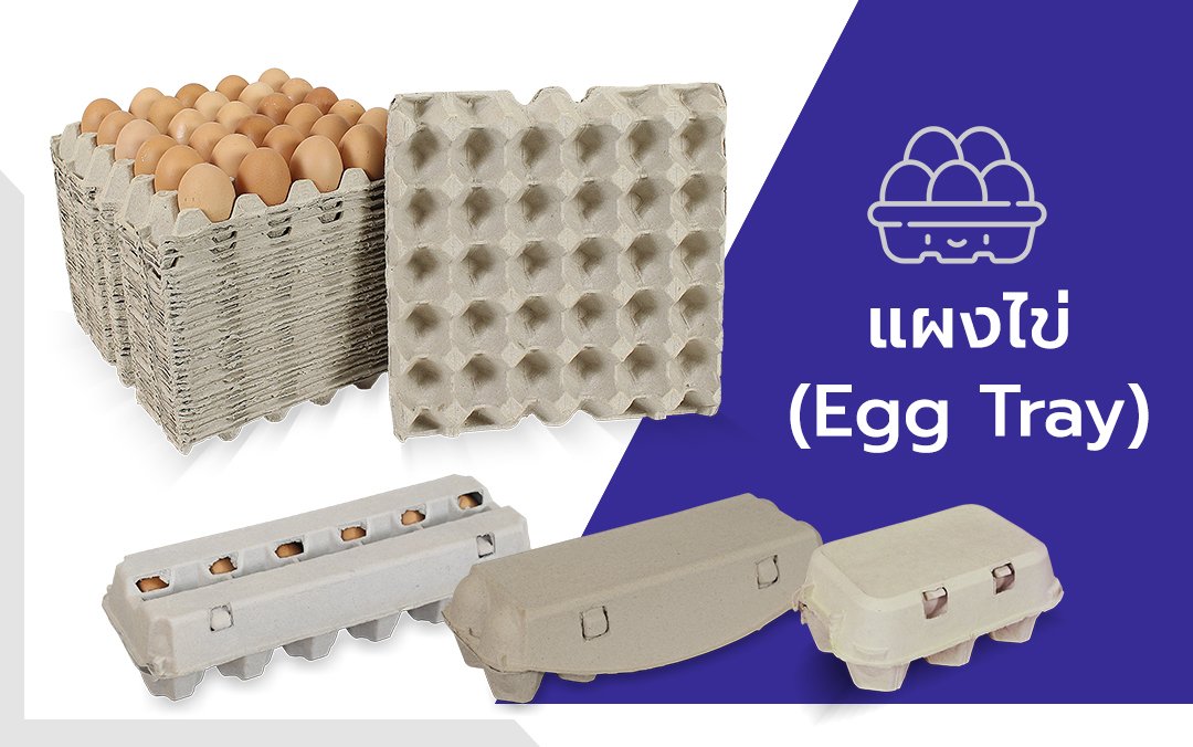 แผงไข่กระดาษ โรงงานผลิตบรรจุภัณฑ์กระดาษ