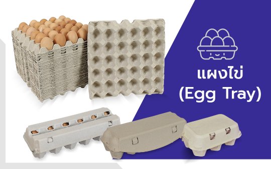 แผงไข่กระดาษ โรงงานผลิตบรรจุภัณฑ์กระดาษ