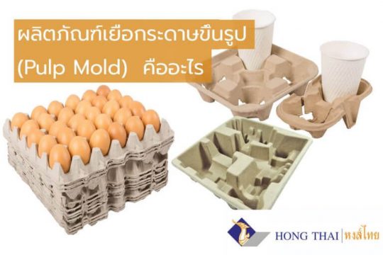 ผลิตภัณฑ์เยื่อกระดาษขึ้นรูป (Pulp Mold) คืออะไร
