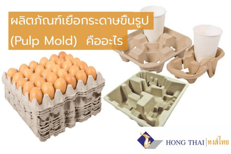 ผลิตภัณฑ์เยื่อกระดาษขึ้นรูป (Pulp Mold) คืออะไร