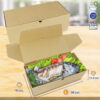กล่องใส่อาหารทะเล-Size-L-ขนาด-38x18x11-1