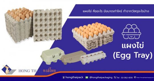 แผงไข่คืออะไร