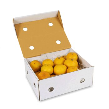 กล่องผลไม้รวม จุ 2 กก.