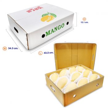 กล่องฝาครอบ-1