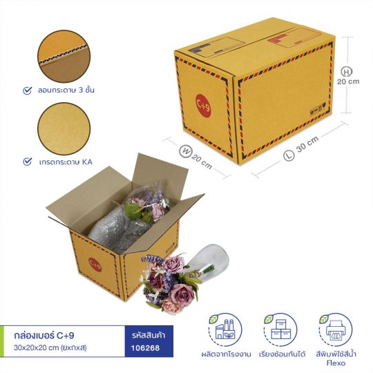 กล่องเบอร์ C+9 30x20x20 cm (ยxกxส)