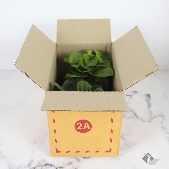 เซตกล่องใส่ต้นไม้-2a-2