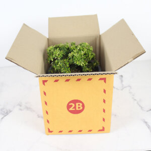 กล่องเบอร์ 2B 25x17x18 cm (ยxกxส)