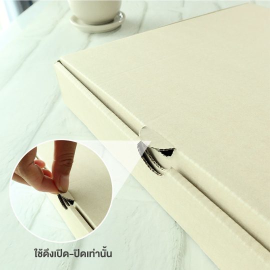 รูปดึงฝากล่องพิซซ่า Profile1