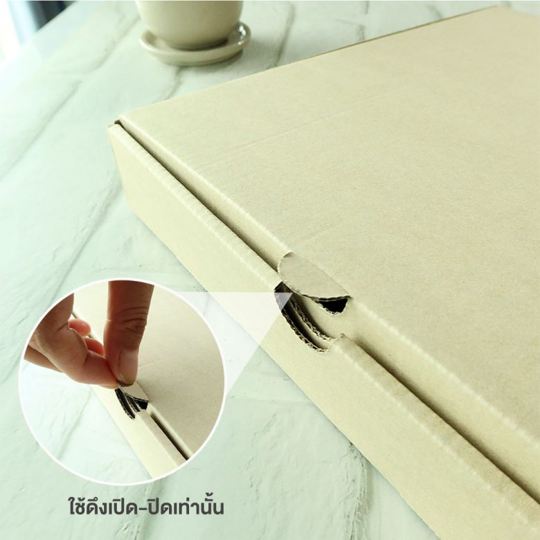 รูปดึงฝากล่องพิซซ่า-Profile1