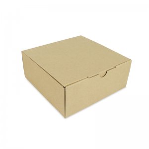 กล่องใส่อาหาร 10 นิ้ว (Size S) ขนาด 25.4x25.4x10.2 ซม.