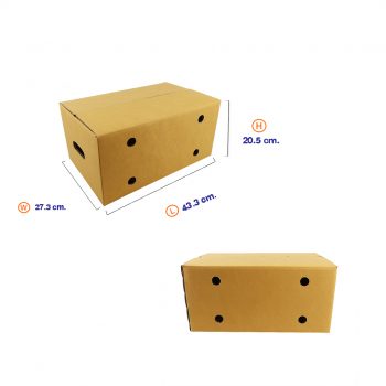 กล่องผลไม้-M-รวม