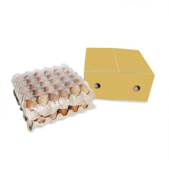 แผงไข่ฝาครอบแผง-บรรจุกล่องลูกฟูก