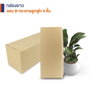 กล่องใส่ต้นไม้ กล่องยาวกระดาษลูกฟูก 5 ชั้น 60x20x20 cm.