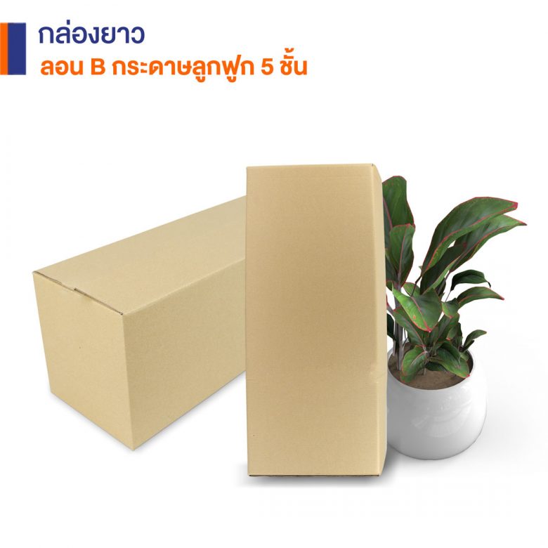 สั่งผลิตกล่องใส่ต้นไม้-1