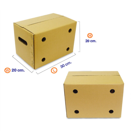 กล่องของขวัญสำเร็จ-ขนาดกล่องผลไม้-Size-C+9-cover