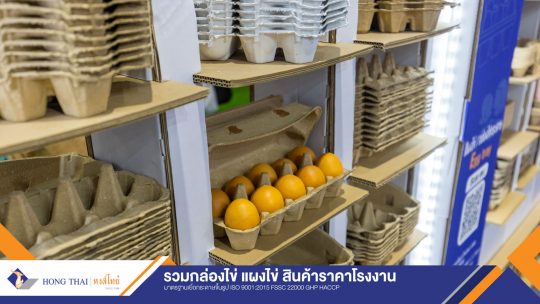 Banner กล่องไข่ แผงไข่