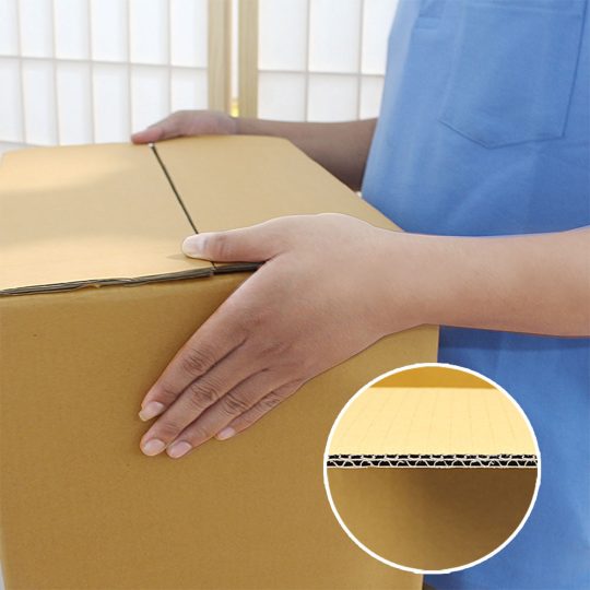 กล่องแช่เย็น-สีน้ำตาล-(detail)-5-ชั้น