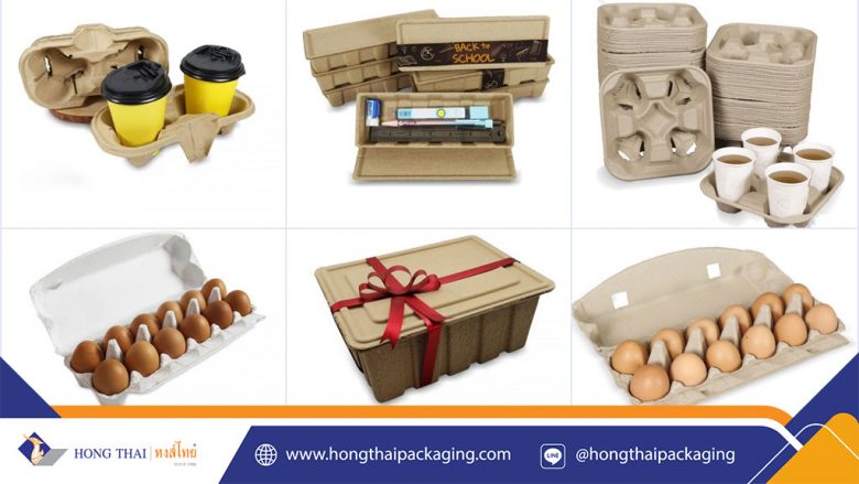 เยื่อกระดาษขึ้นรูป-ปก