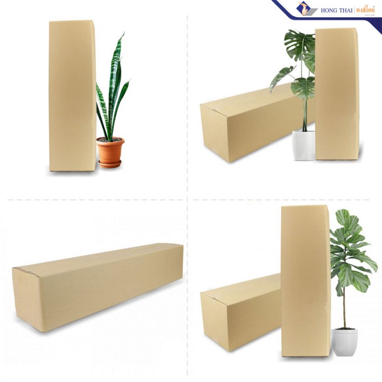 โรงงานผลิตกล่องใส่ต้นไม้-ประเภท