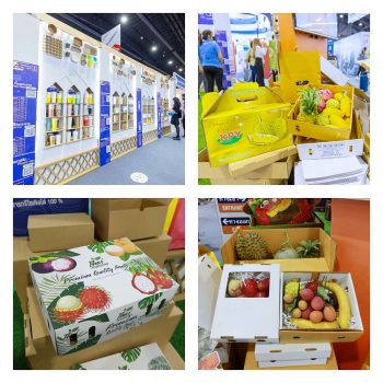 โรงงานผลิตกล่องใส่ผลไม้ กล่องใส่อาหารแช่เย็น