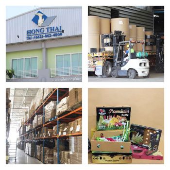 โรงงานผลิตกล่องใส่ผลไม้ กล่องใส่อาหารแช่เย็น