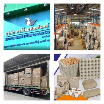 โรงงานผลิตกล่องไข่-แผงไข่