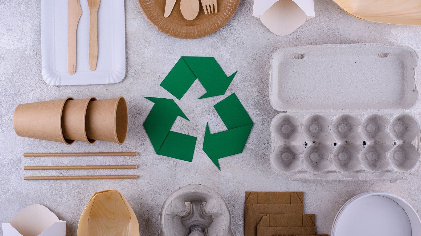 sustainability packaging บรรจุภัณฑ์สิ่งแวดล้อมที่สอดคล้องกับ FSC