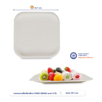 จานกระดาษสี่เหลี่ยม Bio 9 นิ้ว