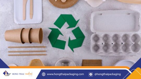 บรรจุภัณฑ์กระดาษใส่อาหาร ทำไมถึงเป็นทางออกของปัญหาขยะพลาสติก