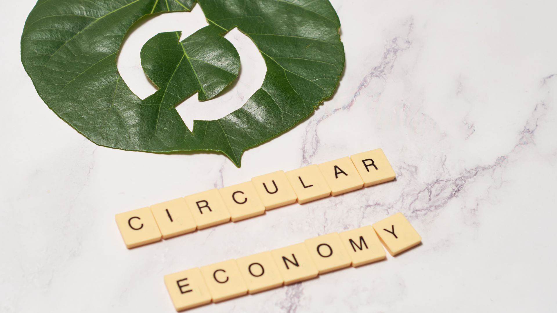 Circular Economy คือ