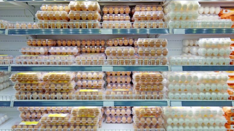 ถาดใข่กระดาษเหมาะกับการขายปลีกในตลาดสด ห้างฯ หรือซูเปอร์มาร์เก็ต