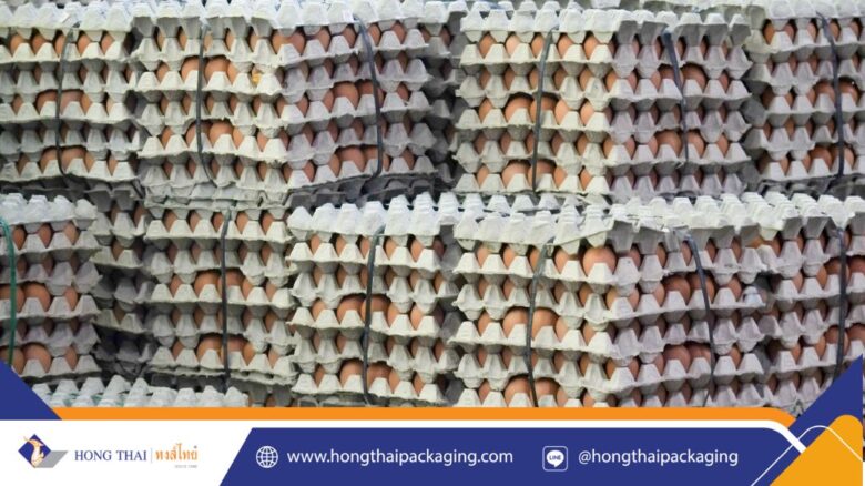 เหตุผลที่ “ถาดไข่กระดาษ” ได้รับความนิยมมากกว่าถาดพลาสติก